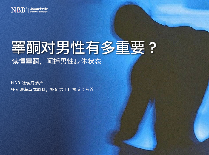 睾酮对男性有什么作用？中年男士内分泌温和食补调养指南