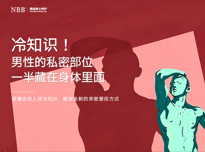 冷知识：男性私密结构，一半藏在身体里面